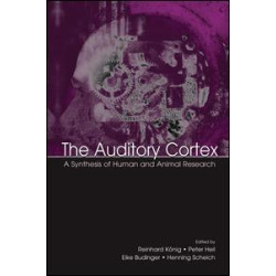 The Auditory Cortex