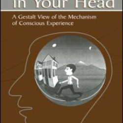 The World in Your Head The World in Your Head