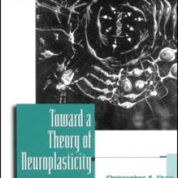 Toward a Theory of Neuroplasticity Toward a Theory of Neuroplasticity