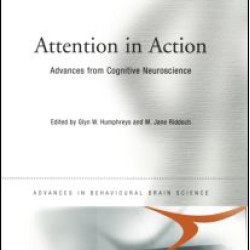 Attention in Action Attention in Action