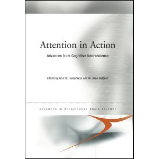 Attention in Action