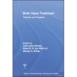 Brain Injury Treatment Brain Injury Treatment