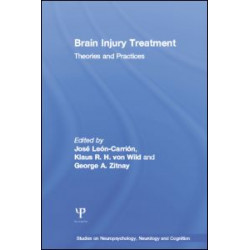 Brain Injury Treatment