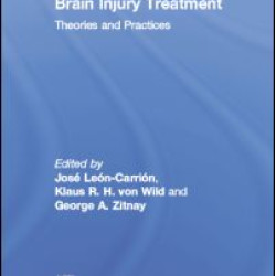 Brain Injury Treatment Brain Injury Treatment