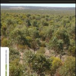 Large-scale Forest Restoration Large-scale Forest Restoration