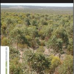 Large-scale Forest Restoration Large-scale Forest Restoration