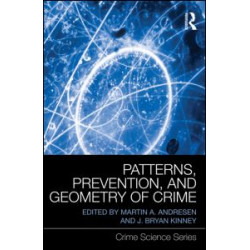 Patterns, Prevention, and Geometry of Crime