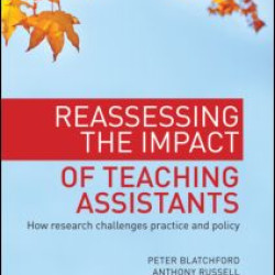 Reassessing the Impact of Teaching Assistants