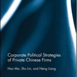 Corporate Political Strategies of Private Chinese Firms
