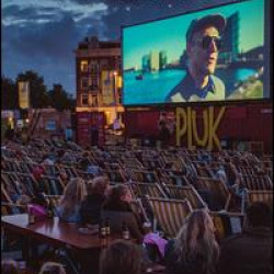 Film Festivals Film Festivals