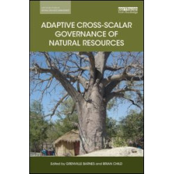 Adaptive Cross-scalar Governance of Natural Resources