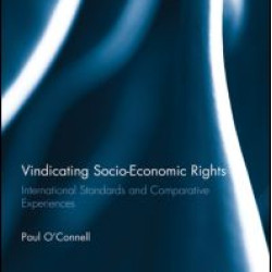 Vindicating Socio-Economic Rights