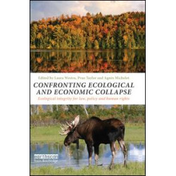 Confronting Ecological and Economic Collapse Confronting Ecological and Economic Collapse
