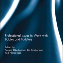 Professional Issues in Work with Babies and Toddlers