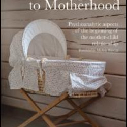 From Pregnancy to Motherhood