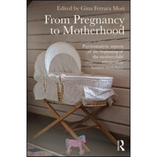 From Pregnancy to Motherhood