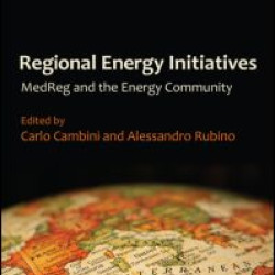 Regional Energy Initiatives Regional Energy Initiatives