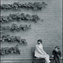 Women, Modernity, and Landscape Architecture Women, Modernity, and Landscape Architecture