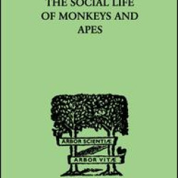 The Social Life Of Monkeys And Apes