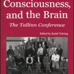Memory, Consciousness and the Brain