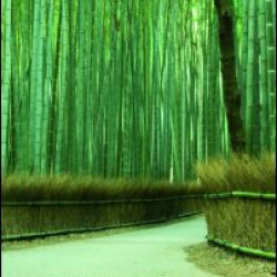 Japanese Economic Development Japanese Economic Development