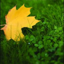 On Heidegger's Being and Time On Heidegger's Being and Time