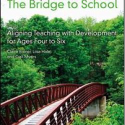 The Bridge to School