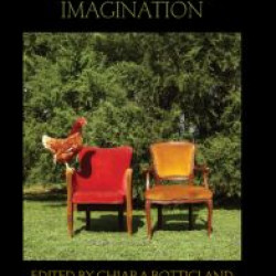 The Politics of Imagination The Politics of Imagination