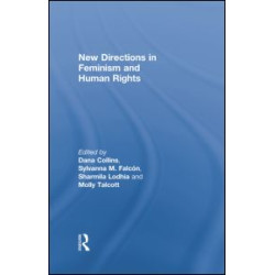 New Directions in Feminism and Human Rights