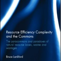 Resource Efficiency Complexity and the Commons Resource Efficiency Complexity and the Commons