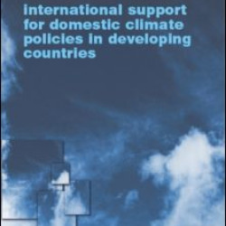 International Support for Domestic Climate Policies in Developing Countries International Support for Domestic Climate Policies in Developing Countries