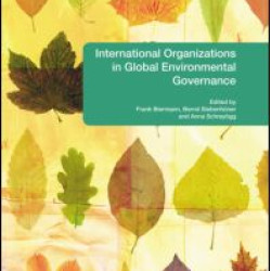 International Organizations in Global Environmental Governance