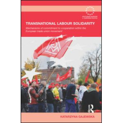 Transnational Labour Solidarity Transnational Labour Solidarity