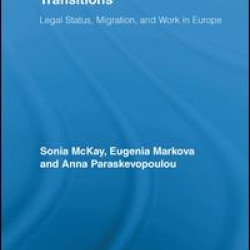 Undocumented Workers' Transitions