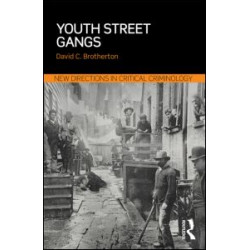 Youth Street Gangs Youth Street Gangs