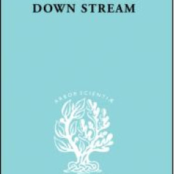 Down Stream            Ils 216