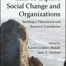 Using a Positive Lens to Explore Social Change and Organizations Using a Positive Lens to Explore Social Change and Organizations