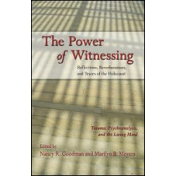 The Power of Witnessing The Power of Witnessing