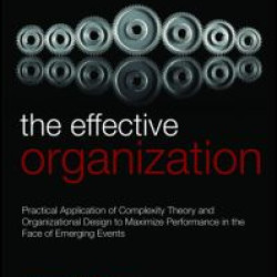 The Effective Organization