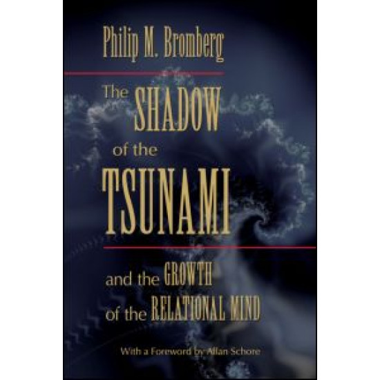 The Shadow of the Tsunami