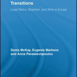 Undocumented Workers' Transitions