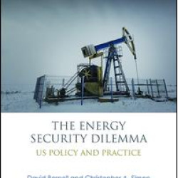 The Energy Security Dilemma
