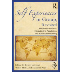 Self Experiences in Group, Revisited Self Experiences in Group, Revisited