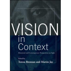Vision in Context