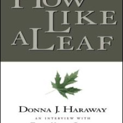 How Like a Leaf How Like a Leaf