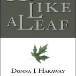 How Like a Leaf How Like a Leaf