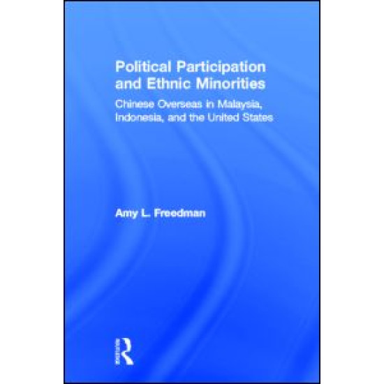 Political Participation and Ethnic Minorities