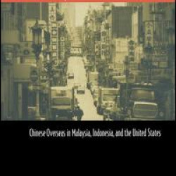 Political Participation and Ethnic Minorities