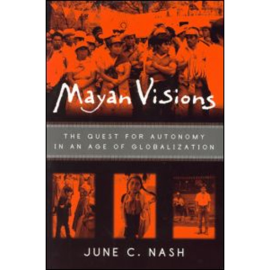 Mayan Visions