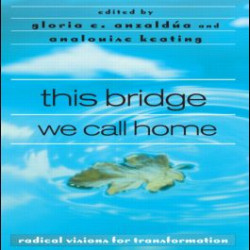 this bridge we call home this bridge we call home